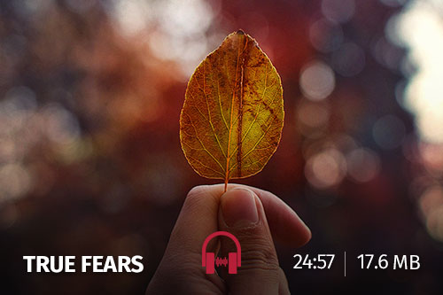 ترسهای حقیقی